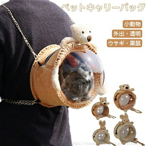 yzyʒʋC Uo AN | ybgobNpbN  pbN ybgp  L[obO Oo