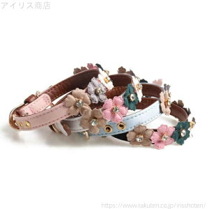 yz^ ^  y \  ȒP PUU[ CXg[ t[ p