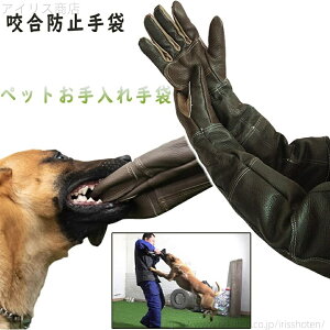 yz ϔM | ~⊚݂h~ ybg̓ h v Z[teی ybgO[u ybgph~