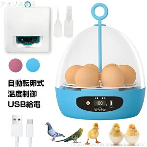 yzӉ@ 6/3 ސp ӗ ^ ^z CLx[^[ z ƒp z z  ]