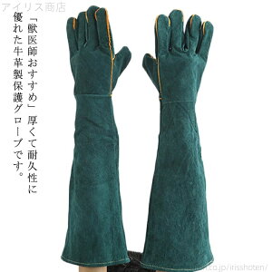 yzK[fjO O[u L ϋv bt ܐ؂ ~ ঒  BBQ v ݂h~  ybgO[u