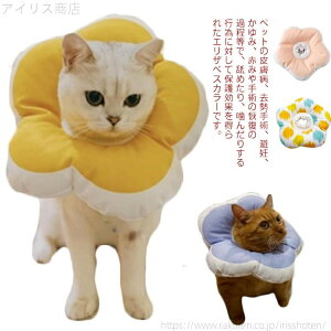 yzpEFA p Dp ~h~ y t[^  p h rߖh~  L M S \tg p Lp