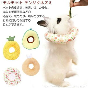 yz ybg  lR ^ ˂ L  畆 ybg D  킢 ی ETMpGUxXJ[