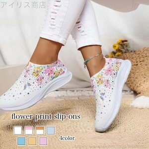 yz L y LoX 24.5 V t ~  C     y V[Y LeBO