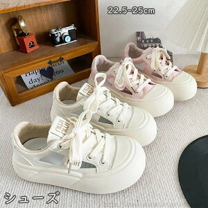 yzK t@bV y q ^C C w ʋ ʊw 2color ̎q fB[X Xj[J[ V[Y