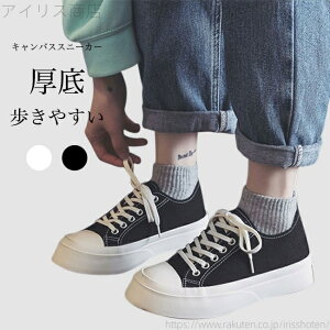 yz_ ʋC K 3cm  y RtH[gV[Y tbgV[Y LoXXj[J[ fB[X Xj[J[