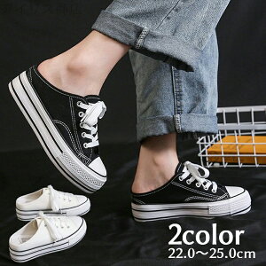 yz^C  wlp fB[X q[5cm V[Y^T_ ƂȂ {[\[  T_ Xj[J[