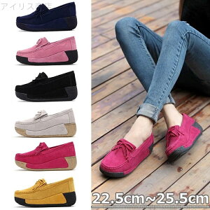 yzJV  fB[X {v XEF[h V[Y ؂ 5cm V[vXL {A [g JWA 