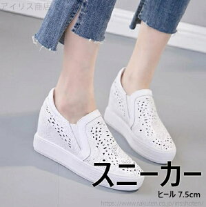 yzXj[J[ fB[X@Cq[ Cq[Xb| Xb| fB[X C Xj[J[ Xj[J[