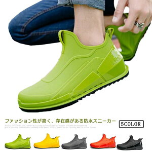 yzh Xj[J[ Y CV[Y  킢 h h y y  V[g Cu[c _bhXj[J[