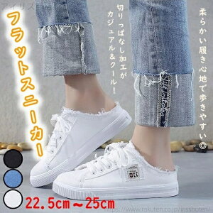 yzfB[X V[Y Xj[J[ lC ʔ  ₷ ₷ ƂȂ tbg ؂ Ɩ