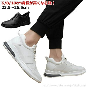 yzY Abv V[NbgV[Y Xj[J[ 8cm V[NbgXj[J[ ʊw  Cq[ wȂC r