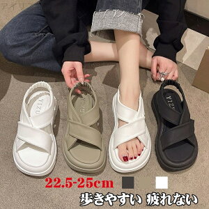 yzfB[XT_ X|[cT_ fB[X  RtH[gT_ O