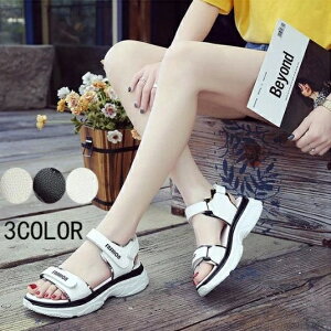 yz^C JWA y h _炩NbV PU ɂȂ ₷ T_ Xj[J[T_ fB[X