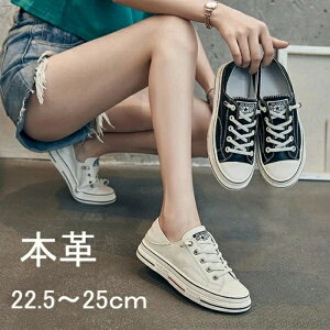 yzJWA y _炩 ₷ EH[LO X|[c ^C  V[Y {v RtH[gV[Y fB[X