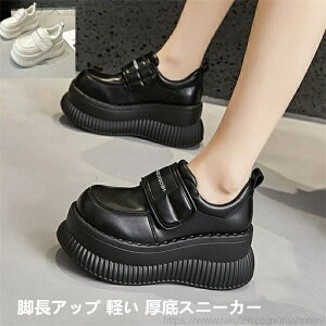 yzfB[X Xj[J[ y rAbv Cq[ AEghA X|[c wC  C fB[X V[Y