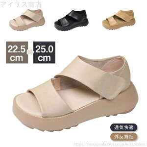 yzʋC L ʋCK r ~ yʐ݌v Be[WX^C lԍHw Od 5cmq[ T_ fB[X