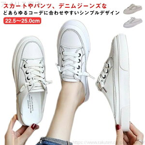 yzT_ Vv  ₷ Xb| zCg V[Y  fB[X fB[X Xj[J[ t T_ [t@[