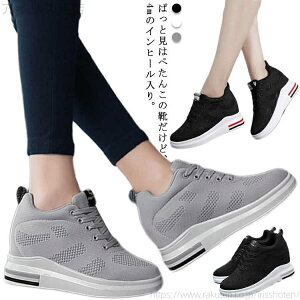 yzr Cq[Xj[J[ fB[X C V[Y r V[NbgV[Y gAbv Cq[Xj[J[