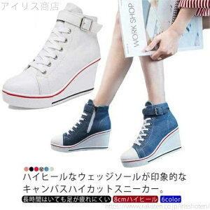 yz8CM C TChxg Xj[J[ nCJbg Xj[J[ TChxg Xj[J[ Ȃ  y fB[X 