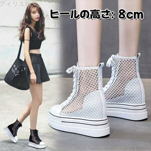 yz tbgT_ q[8cm ҂ݏグV[Y   ʋC r JWA ₷ Sn ~ u[c