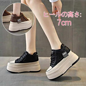 yz[Y EH[LOV[Y jO C JWA [JbgXj[J[ ₷ Ȃ ʊwC ʋΌC r 2F