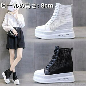 yzV[gu[c C Cq[ [XAbv ҂ݏグ ₷  r ău[c l ʋ ʊw wlC 22.0-25.0cm