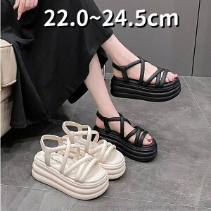 yzX|[cT_ tbgXg[ ؂񂱌C nCq[7.5cm EGbW\[ OfBG[^[T_ fB[X C