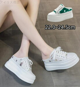 yzLoX [Jbg X|[cT_ EHLOV[Y Xb| ƂȂ fB[X 8cmwȂC Xj[J[