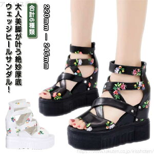 yzEFbWT_ I[vgD T_ u[cT_ 傫TCY fB[X ɂ 