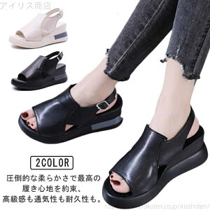 yzOd Xj[J[ T_ X|[cT_ ʋC T_ q[6.5cm fB[X