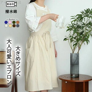 yzo[xL oCg ۈm w JtF 䏊Xg XJ[g bv n   Rbg fB[X h 