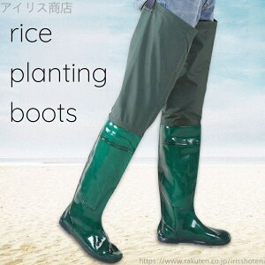 yzcApC jZbNX K[fjOu[c K[fjOV[Y ~ h Vv n ₷ 芴 ֗