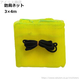 yzCG[ h ˂  L  h~ JX S~ 3x4m F JX悯 lbg S~