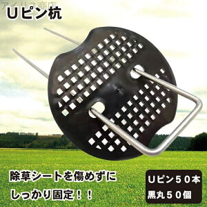 yzwAsY R^s s }Y U^ Œp _  ƒ؉ hV[g ەt y50ZbgzUsY