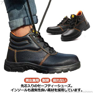 yzƌC Ȃ Y fB[X ZteB[V[Y SXj[J[ c |c ܐK[h nCJbg u[c