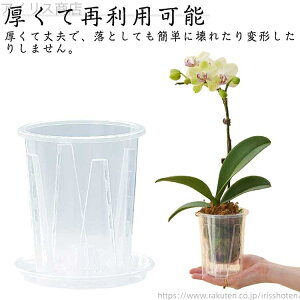 yz6Zbg Ӓp Aؔ Ӓ̐Aւ  Mt ^ ʋCQ h~ a10cm a12cm a14cm