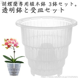 yz^ 3Zbg a10cm Ӓ̐Aւ a15cm Mt  rt m  a12cm ʋCQ Ӓp