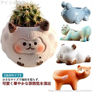 【送料無料】小サイズ セダム アニマル 苔玉 多肉植物 動物 鉢 陶器 植物 寄せ植え 陶器鉢 小さい 植木鉢 底穴あり サボテン エケベリア
