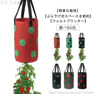 yzǊ| v^[ 2Zbg sDz 3K tFg A͔|obO|bg Aؔ A  13 @\ z