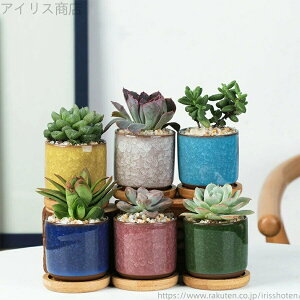 yzT{e X  Aؔ 2 |󂯎M ꌊt 6FZbg CeA Mtg 6cm