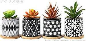 yz Aؔ  픫 ϗtA    T{e  x_ qԂ̍ŗDG |gCt 4_Zbg