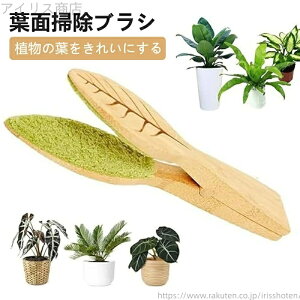 yztꂢɂ ϗtA zR@ Apt|gO ؐnht AptuV tς̑|c[