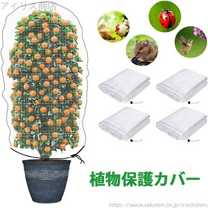 yzhlbg hlbg 悯Jo[ bVВ Aی ؖ ؍͔| |plbg  h 