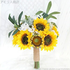 yz`uC_u[P Lbg  I ԉ AWg EFfBOp o  u[P ԉ EGfBOu[P