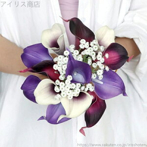 yzF̃XCuC_u[P Lbg  I ԉ AWg EFfBOp o  u[P ԉ EGfBOu[P