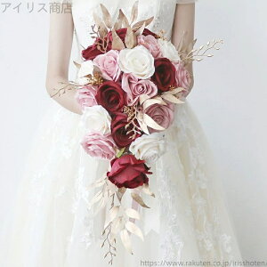 yzCbh{@̕F̐H^uC_u[P Lbg  I ԉ AWg EFfBOp o  u[P ԉ EGfBOu[P