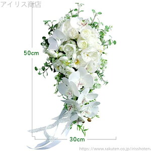 yzuC_u[P Lbg  I ԉ AWg EFfBOp o  u[P ԉ ̐H^EGfBOu[P