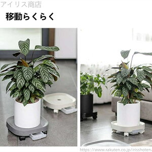 yz|bN AؔX^h Aؔ ϗtAp 󂯎Mt v^[X^h 27cm 24cm M S LX^[t  u ԑ