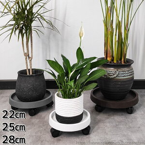 yzϗtA 28cm 25cm 22cm v^[X^h LX^[t  ϗtA u Aؔ